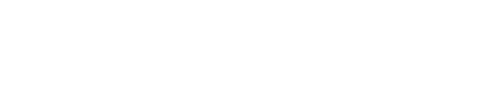 Auditor